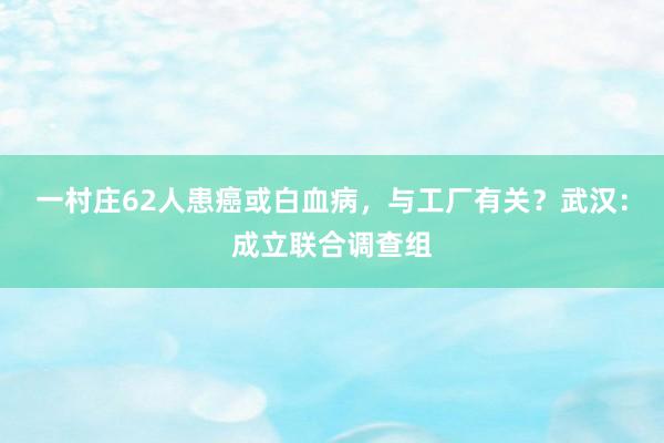 一村庄62人患癌或白血病，与工厂有关？武汉：成立联合调查组