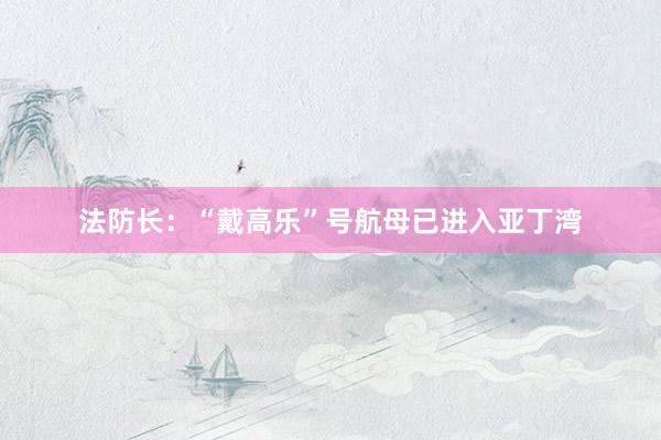 法防长：“戴高乐”号航母已进入亚丁湾