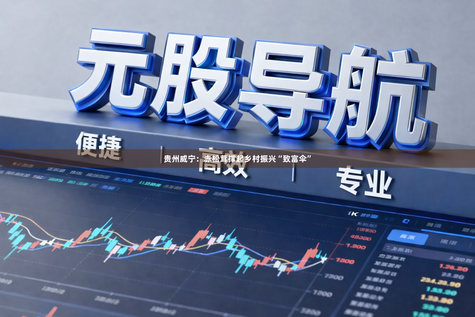 贵州威宁:赤松茸撑起乡村振兴“致富伞”