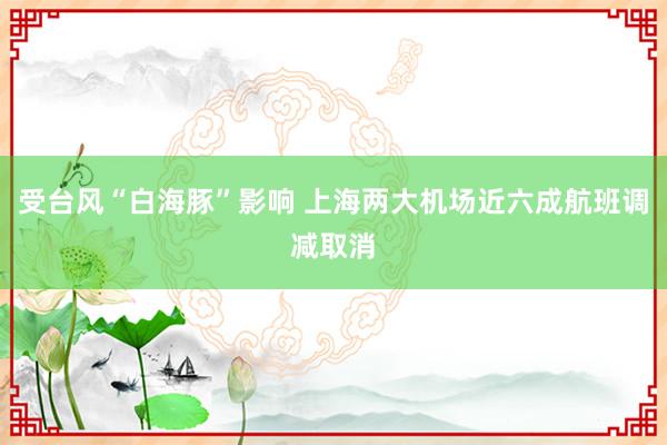 受台风“白海豚”影响 上海两大机场近六成航班调减取消