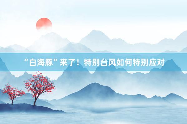 “白海豚”来了！特别台风如何特别应对