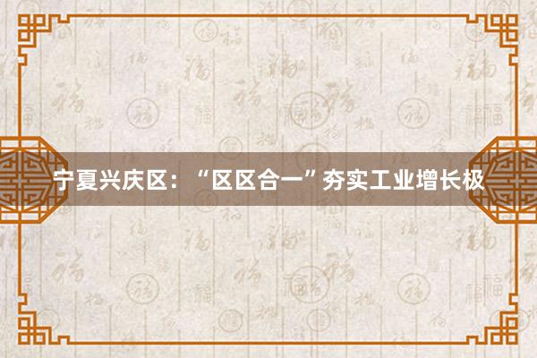 宁夏兴庆区：“区区合一”夯实工业增长极