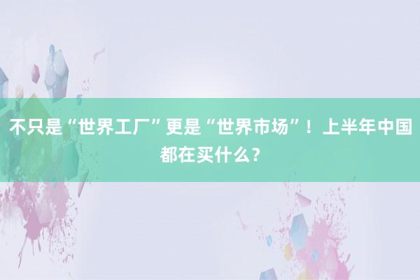 不只是“世界工厂”更是“世界市场”！上半年中国都在买什么？