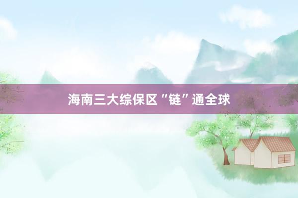 海南三大综保区“链”通全球
