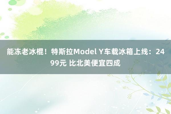 能冻老冰棍！特斯拉Model Y车载冰箱上线：2499元 比北美便宜四成