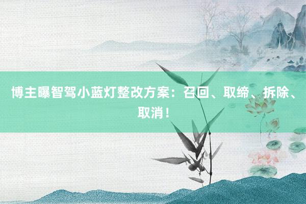 博主曝智驾小蓝灯整改方案：召回、取缔、拆除、取消！