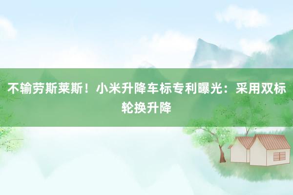 不输劳斯莱斯！小米升降车标专利曝光：采用双标轮换升降