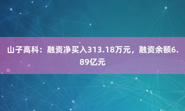 山子高科:融资净买入313.18万元,融资余额6.89亿元