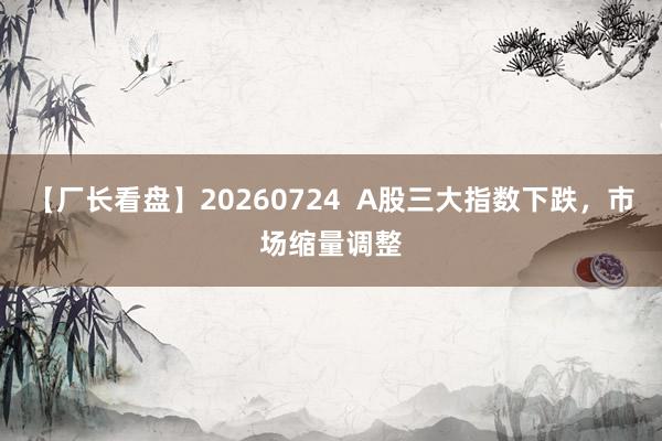 【厂长看盘】20260724  A股三大指数下跌，市场缩量调整