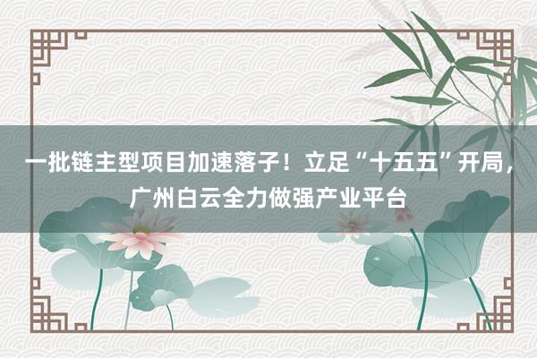 一批链主型项目加速落子！立足“十五五”开局，广州白云全力做强产业平台