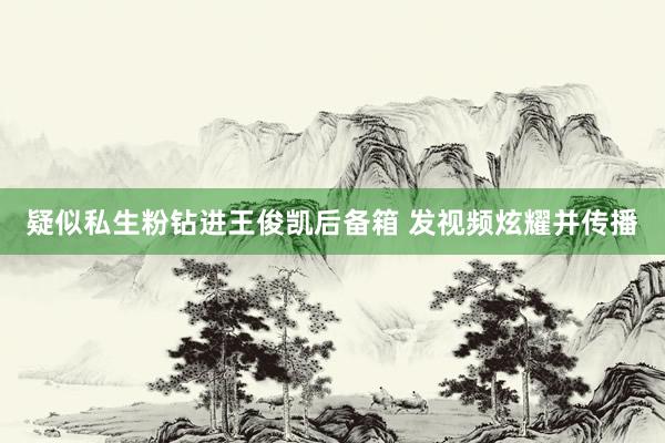 疑似私生粉钻进王俊凯后备箱 发视频炫耀并传播