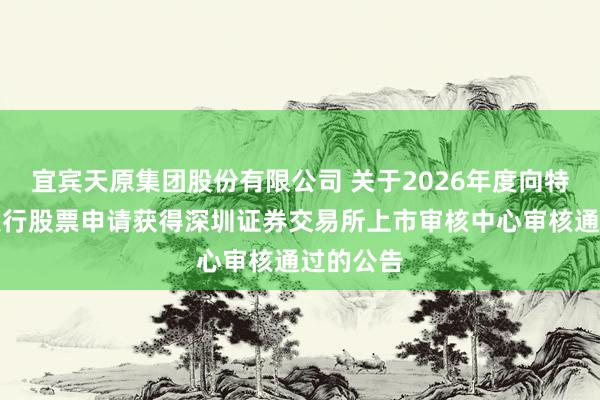 宜宾天原集团股份有限公司 关于2026年度向特定对象发行股票申请获得深圳证券交易所上市审核中心审核通过的公告