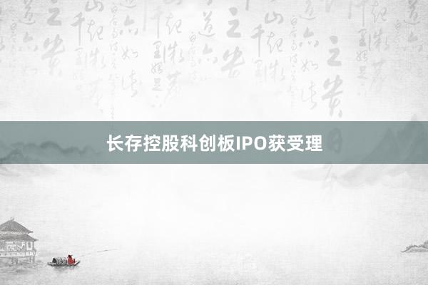 长存控股科创板IPO获受理