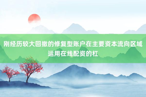 刚经历较大回撤的修复型账户在主要资本流向区域运用在线配资的杠