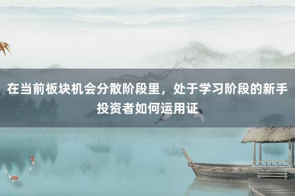 在当前板块机会分散阶段里，处于学习阶段的新手投资者如何运用证
