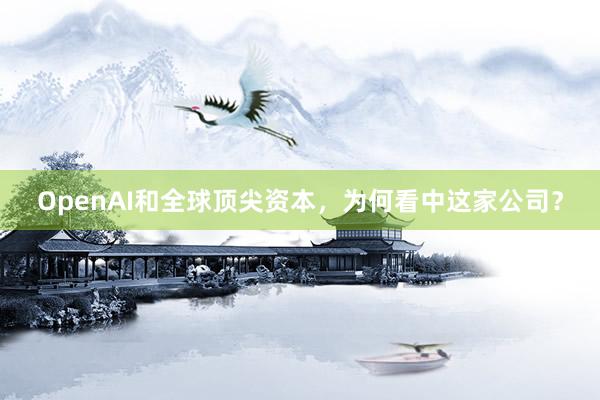 OpenAI和全球顶尖资本，为何看中这家公司？