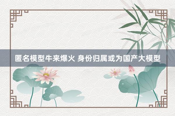 匿名模型牛来爆火 身份归属或为国产大模型