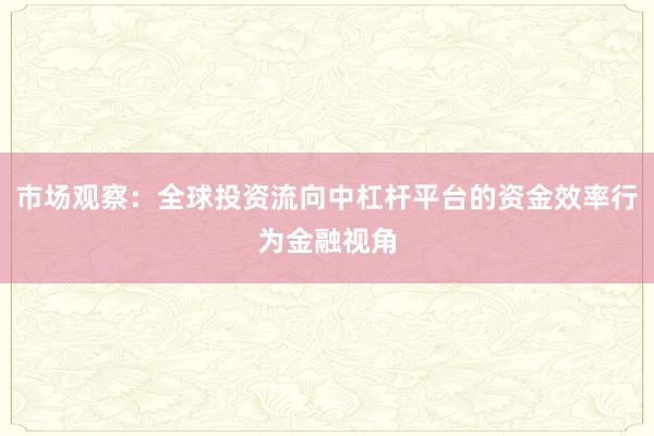 市场观察：全球投资流向中杠杆平台的资金效率行为金融视角
