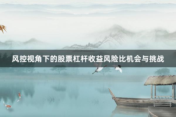 风控视角下的股票杠杆收益风险比机会与挑战