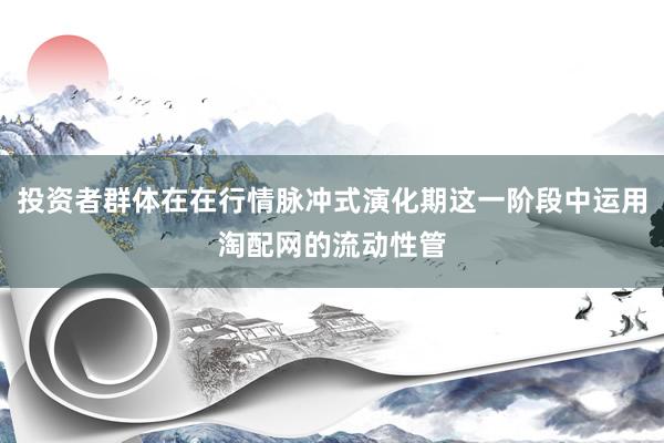 投资者群体在在行情脉冲式演化期这一阶段中运用淘配网的流动性管
