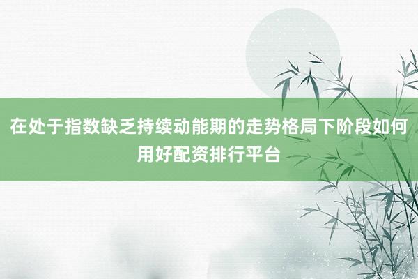 在处于指数缺乏持续动能期的走势格局下阶段如何用好配资排行平台