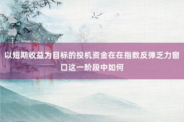 以短期收益为目标的投机资金在在指数反弹乏力窗口这一阶段中如何