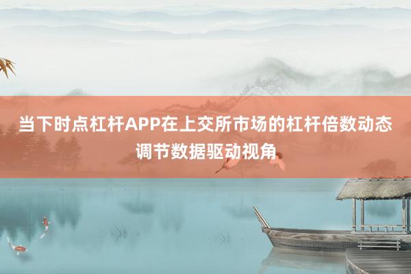 当下时点杠杆APP在上交所市场的杠杆倍数动态调节数据驱动视角