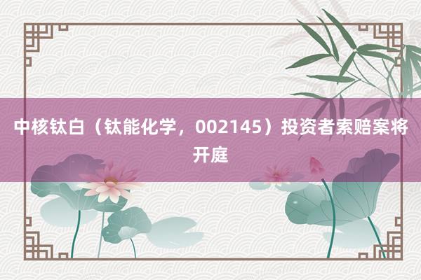 中核钛白(钛能化学,002145)投资者索赔案将开庭