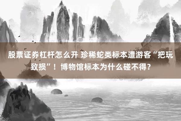 股票证券杠杆怎么开 珍稀蛇类标本遭游客“把玩致损”！博物馆标本为什么碰不得？