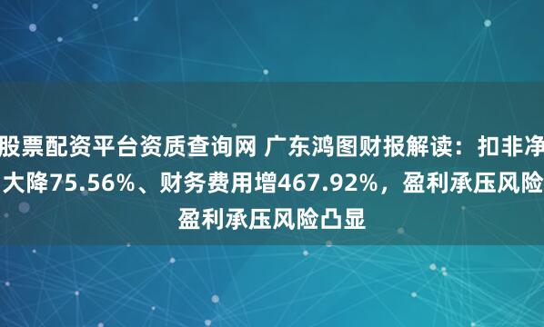股票配资平台资质查询网 广东鸿图财报解读：扣非净利润大降75.56%、财务费用增467.92%，盈利承压风险凸显
