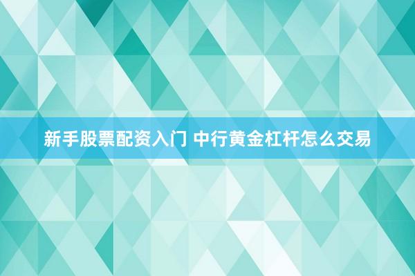新手股票配资入门 中行黄金杠杆怎么交易