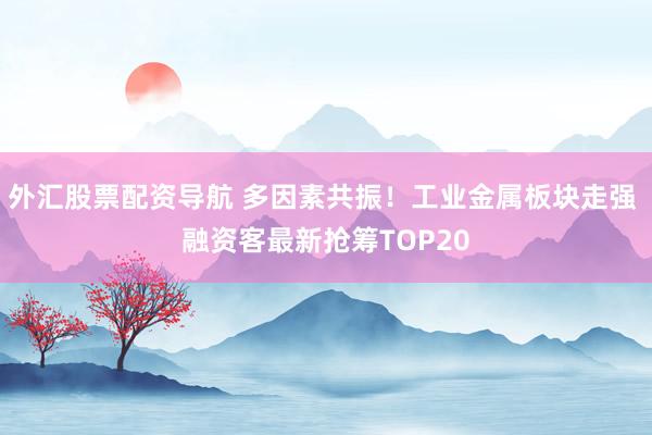 外汇股票配资导航 多因素共振！工业金属板块走强 融资客最新抢筹TOP20