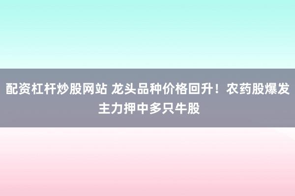 配资杠杆炒股网站 龙头品种价格回升！农药股爆发 主力押中多只牛股