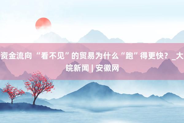 资金流向 “看不见”的贸易为什么“跑”得更快？_大皖新闻 | 安徽网