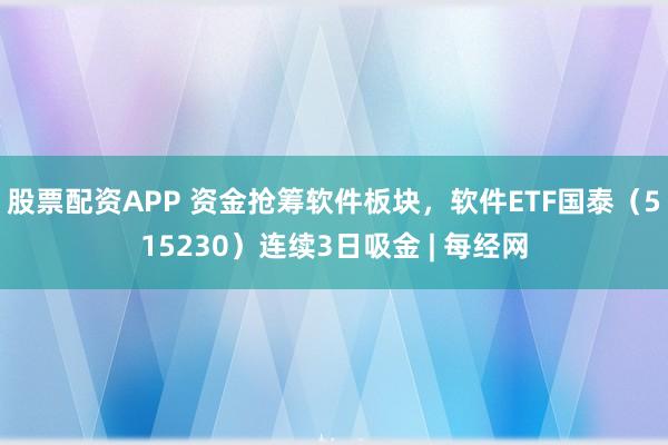 股票配资APP 资金抢筹软件板块，软件ETF国泰（515230）连续3日吸金 | 每经网