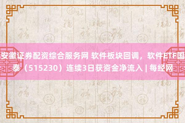 安徽证券配资综合服务网 软件板块回调，软件ETF国泰（515230）连续3日获资金净流入 | 每经网