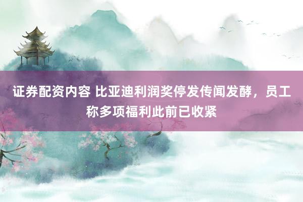 证券配资内容 比亚迪利润奖停发传闻发酵，员工称多项福利此前已收紧