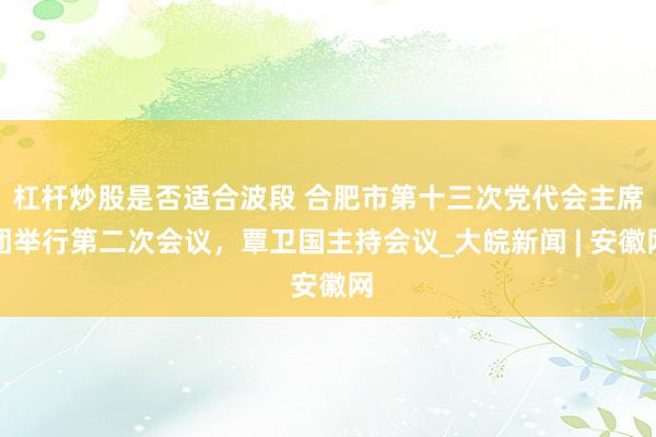 杠杆炒股是否适合波段 合肥市第十三次党代会主席团举行第二次会议，覃卫国主持会议_大皖新闻 | 安徽网