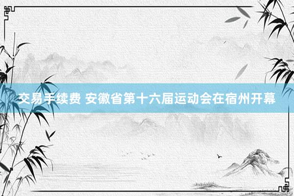 交易手续费 安徽省第十六届运动会在宿州开幕