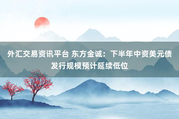 外汇交易资讯平台 东方金诚：下半年中资美元债发行规模预计延续低位