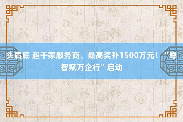 头肩底 超千家服务商、最高奖补1500万元！“粤智赋万企行”启动